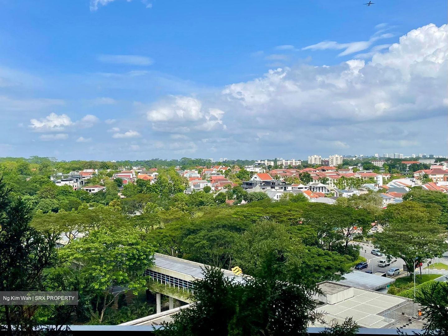 Fourth Avenue Residences (D10), Apartment #536587191